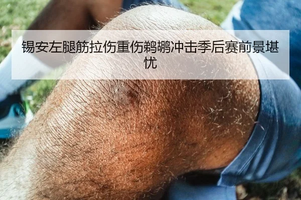 锡安左腿筋拉伤重伤鹈鹕冲击季后赛前景堪忧